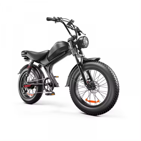 Bicicleta-Moto Electrica C93, 1000w, viteza 55 km/h, 20inch, autonomie 80km [10]