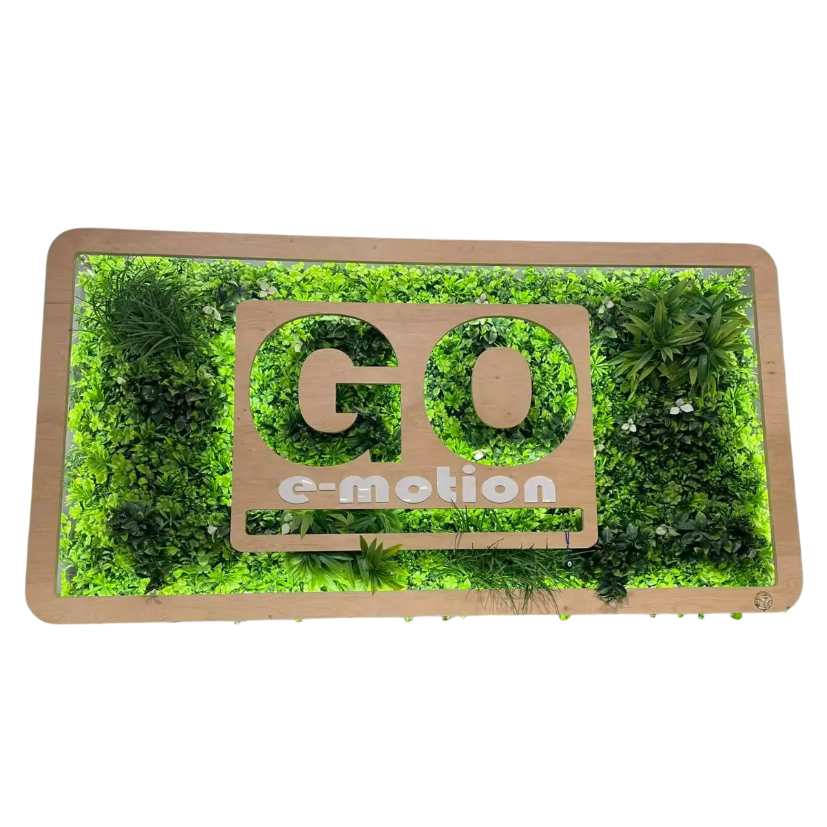 Piese - Iarba decorativa Go e-motion