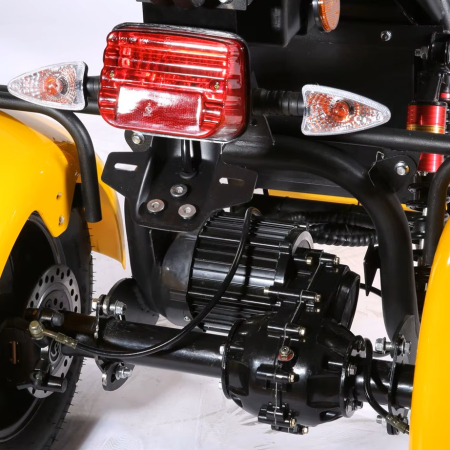 Scuter Electric SHANSU CP-3 3 Roți 2000W Negru [15]