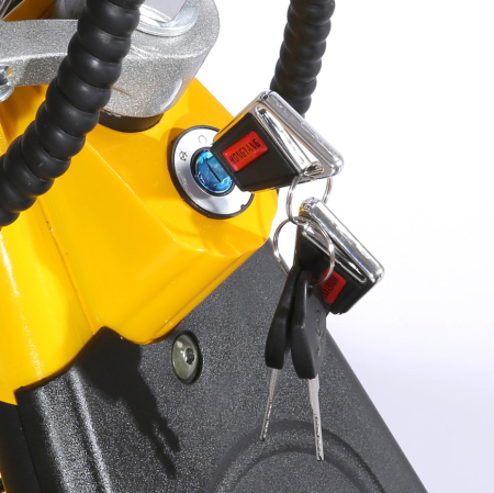 Scuter Electric SHANSU CP-3 3 Roți 2000W Negru [20]