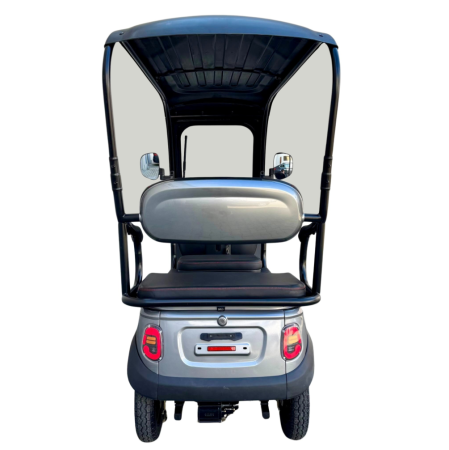 Tricicletă Electrică cu 2 Locuri și Acoperiș, Baterie 20Ah [10]