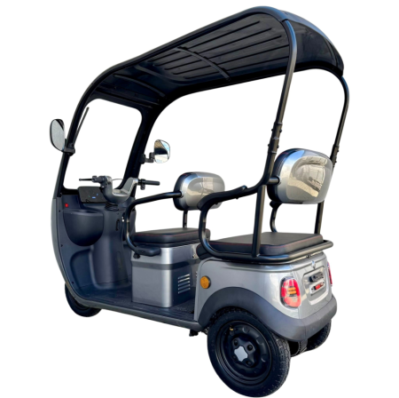 Tricicletă Electrică cu 2 Locuri și Acoperiș, Baterie 20Ah [17]