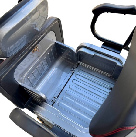 Tricicletă Electrică cu 2 Locuri și Acoperiș, Baterie 20Ah [18]