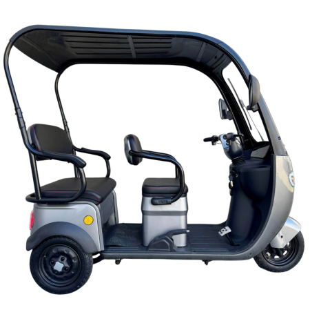 Tricicletă Electrică cu 2 Locuri și Acoperiș, Baterie 20Ah [2]