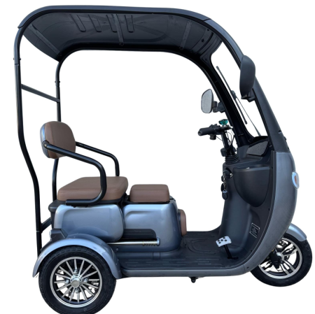 Tricicletă Electrică cu 2 Locuri, Acoperiș și Baterie 20Ah [2]