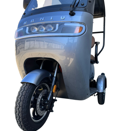 Tricicletă Electrică cu 2 Locuri, Acoperiș și Baterie 20Ah [4]