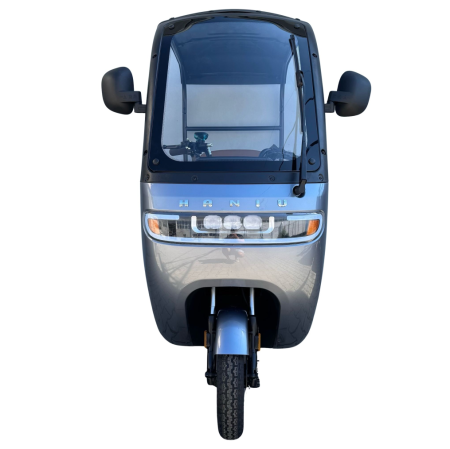 Tricicletă Electrică cu 2 Locuri, Acoperiș și Baterie 20Ah [12]