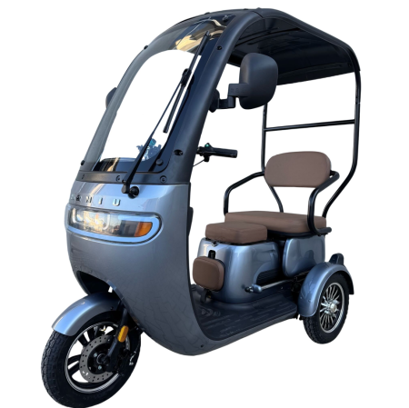 Tricicletă Electrică cu 2 Locuri, Acoperiș și Baterie 20Ah [1]