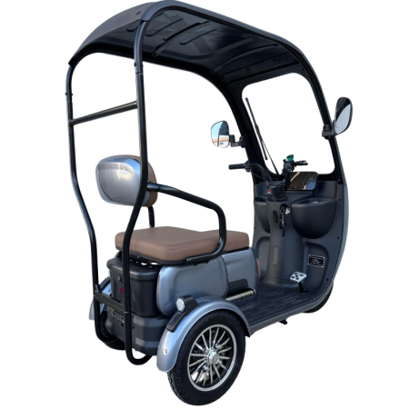 Tricicletă Electrică cu 2 Locuri, Acoperiș și Baterie 20Ah [3]