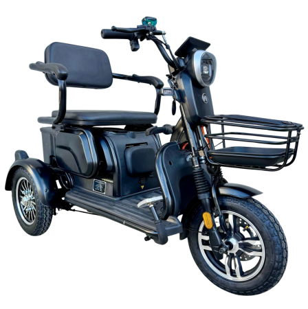 Triciclete - Tricicletă Electrică cu 2 Locuri și Baterie 20Ah