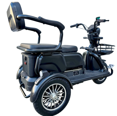 Tricicletă Electrică cu 2 Locuri și Baterie 20Ah [14]