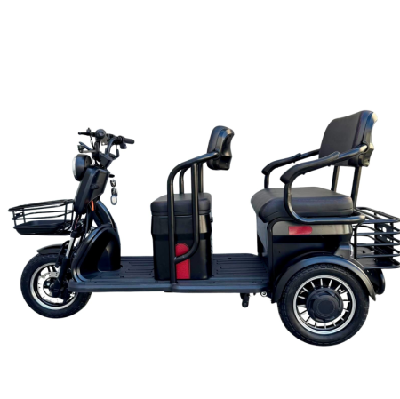 Tricicletă Electrică cu 2 Locuri și Baterie 20Ah [3]
