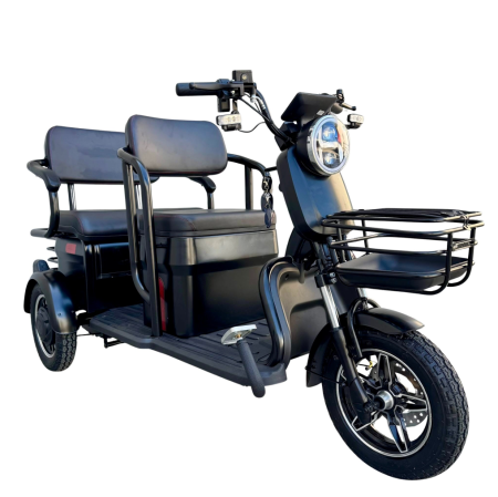 Triciclete - Tricicletă Electrică cu 2 Locuri și Baterie 20Ah