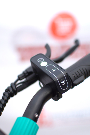 Trotineta electrica Vsett 9+ New Display 2x650W 48V 15.6Ah [16]