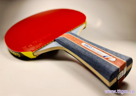 Paleta profesionala Gauzy bl7/GTT45 + GTT40 [0]