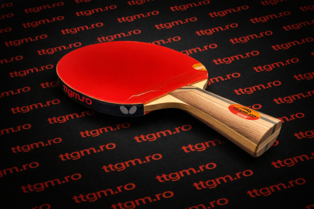 Palete de Control - Paleta profesionala tenis de masa DHS