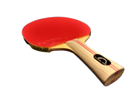 Palete de Control - Paleta profesionala tenis de masa RAINBOW 5 / GTT40 2.2 / Hurricane 3 neo 2.2
