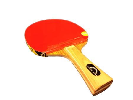 Palete Ofensive - Paleta profesionala tenis de masa RAINBOW 7 OFF / MID-HARD 8 / BLOWFISH SHORT PIMPLE