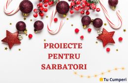 Folosirea uneltelor in proiecte pentru sarbatori