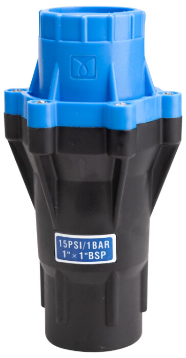 Gradina & gospodarie - Regulator presiune 1'' BSP