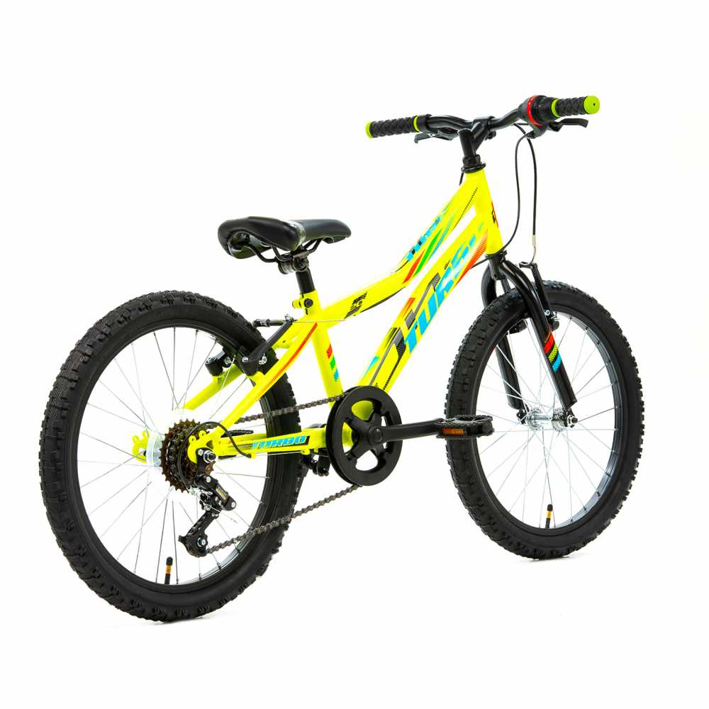 Bicicleta Copii DHS Turbo - 20 Inch, Verde [3]