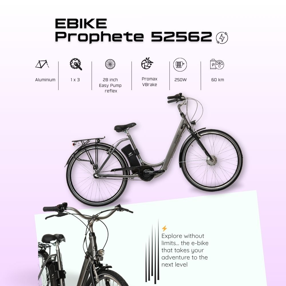 Bicicleta Electrica Prophete 52562 - 28 Inch, M, Gri [4]