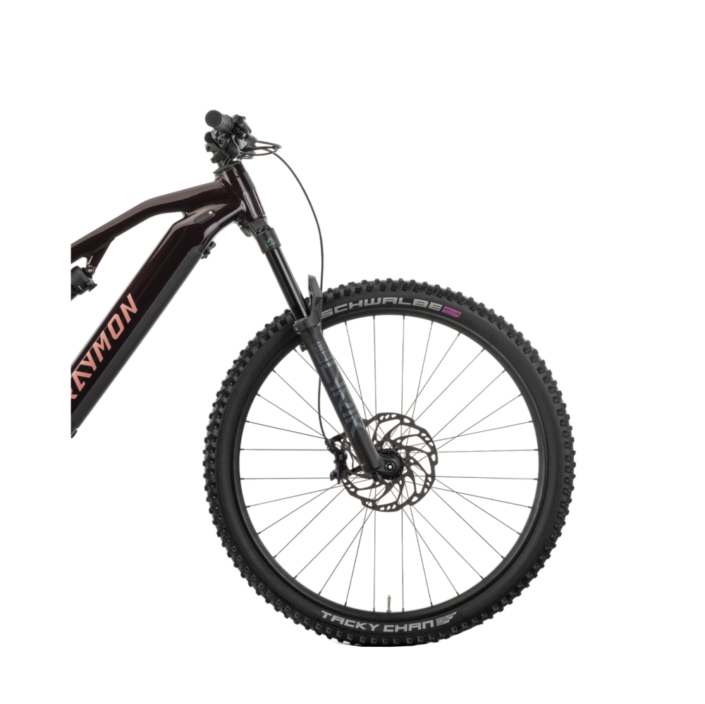 Bicicleta Electrica Raymon Full Suspension Trailray 150 Pro 2025 - 29 Inch, L, Negru - SLX [5]
