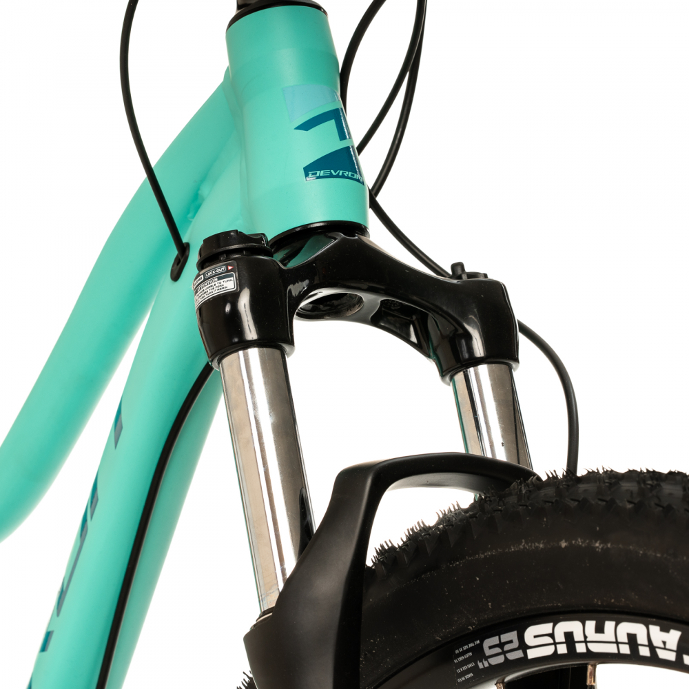 Bicicleta Mtb Devron Riddle RW1.9 2025 - 29 Inch, L, Turcoaz [5]