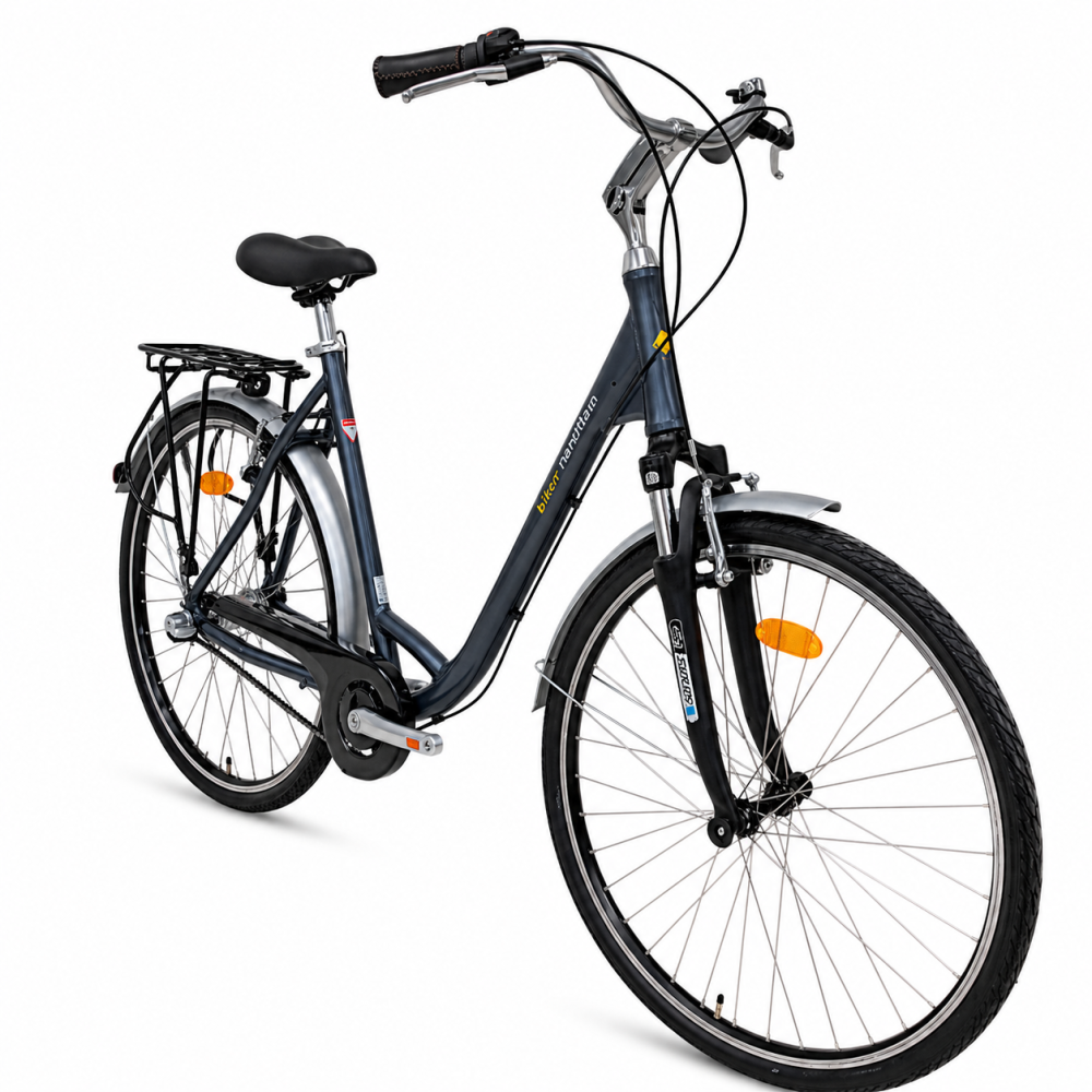 Bicicleta Oras Kieler 1252 - 28 Inch, L, Gri [2]