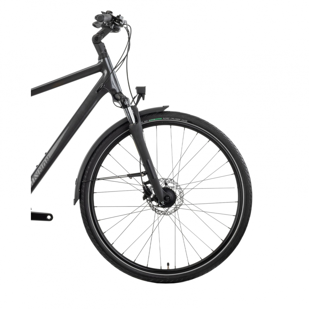 Bicicleta Oras - Trekking Raymon Zayn Pro Diamond 2025 - 28/27.5 Inch, L, Gri [5]