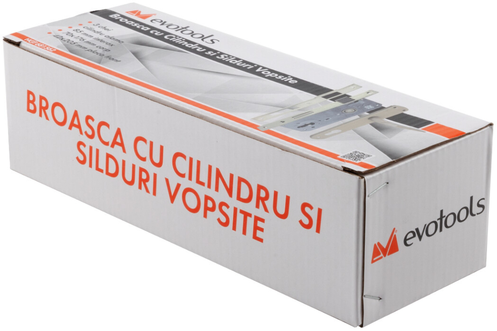 Broasca cu Cilindru si Silduri Vopsite [2]