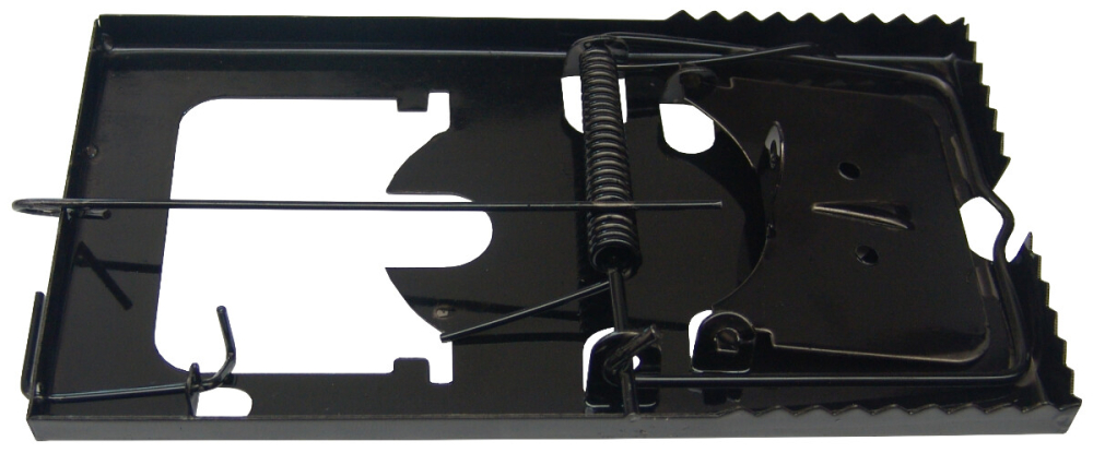 Cursa pentru Soareci - Lungime 160 mm Latime 88 mm [2]