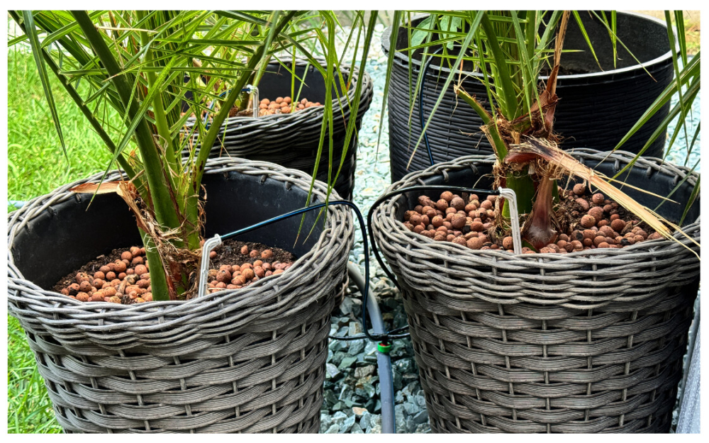 Kit 4 Brate Microtub 50 cm pentru Ciuperca Picurare [4]