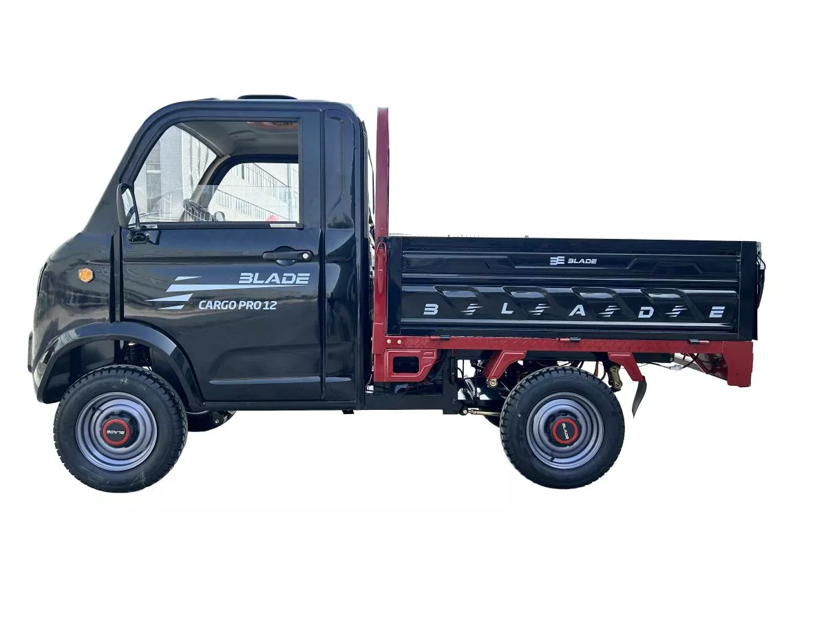 Camioneta/Masinuta/Triciclu/Cvadriciclu PICKUP CARGO 3000, putere maxima 4900W, autonomie: 100 km, viteza maxima: 25 km/h - CARGO PRO 12 [5]