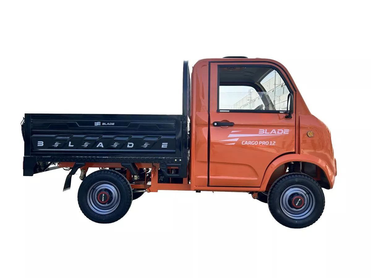 MASINA ELECTRICA/TRICICLU/CAVDRICLU PICKUP CARGO 3000, putere maxima 4900W - CARGO PRO 12 [8]