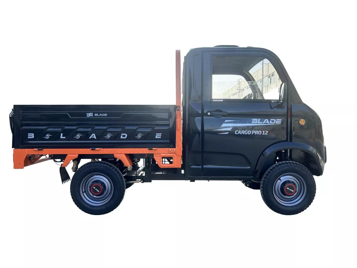 Camioneta/Masinuta/Triciclu/Cvadriciclu PICKUP CARGO 3000, putere maxima 4900W, autonomie: 100 km, viteza maxima: 25 km/h - CARGO PRO 12 [3]