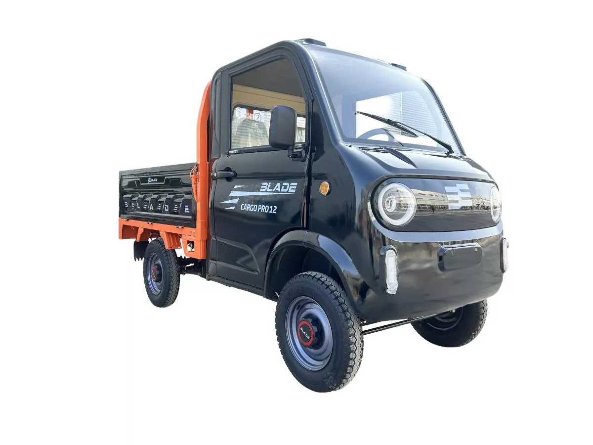 Camioneta/Masinuta/Triciclu/Cvadriciclu PICKUP CARGO 3000, putere maxima 4900W, autonomie: 100 km, viteza maxima: 25 km/h - CARGO PRO 12 [7]