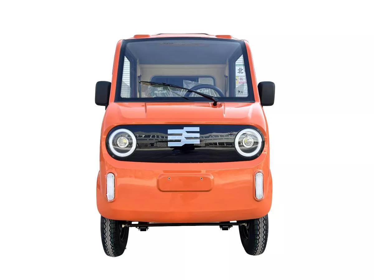 MASINA ELECTRICA/TRICICLU/CAVDRICLU PICKUP CARGO 3000, putere maxima 4900W - CARGO PRO 12 [2]