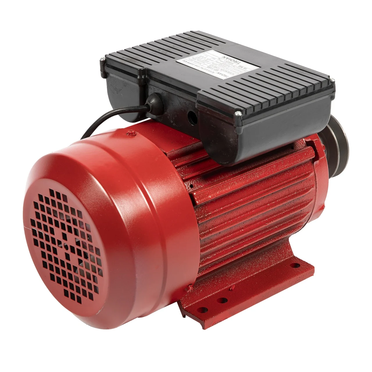 Motor electric Micul Fermier Troian rosu 3KW, 3000 rpm, carcasa fonta 5 ani garantie [3]