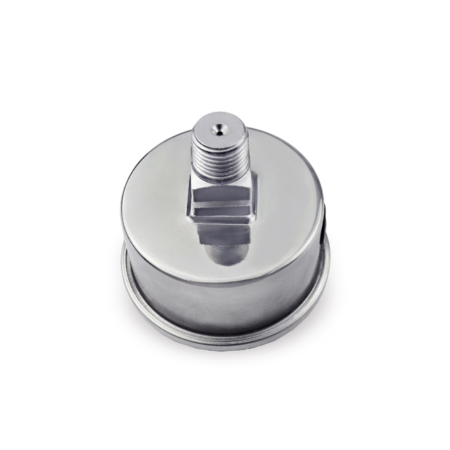 ProGARDEN manometru inox, 0-11bar, orizontal, FE1/4", lichid anti-vibratii [2]