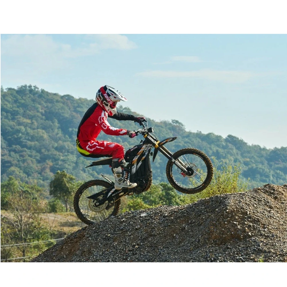 Rotakt Bad Boy Electric Cross Super Bike 3000W 80km/h off-road [1]
