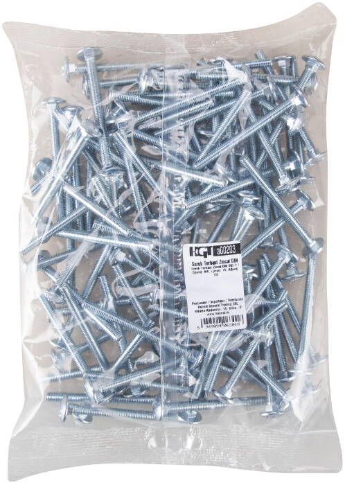 Surub Torbant Zincat DIN 603 P - 100 Buc EvoTools a00203 / a00204 / a00198 / a00199 / a00201 / a00202 [7]