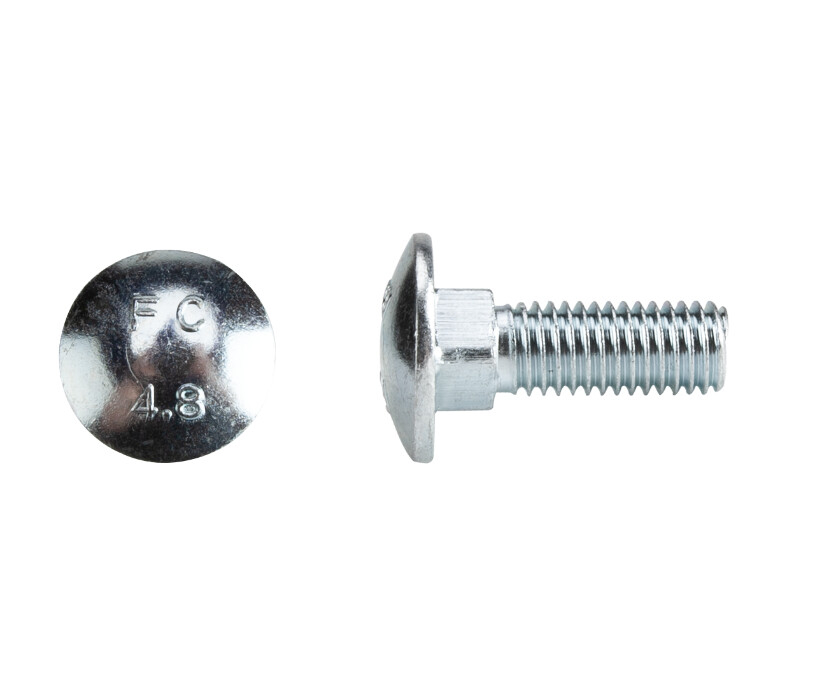 Surub Torbant Zincat DIN 603 P - 100 Buc EvoTools a00203 / a00204 / a00198 / a00199 / a00201 / a00202 [3]