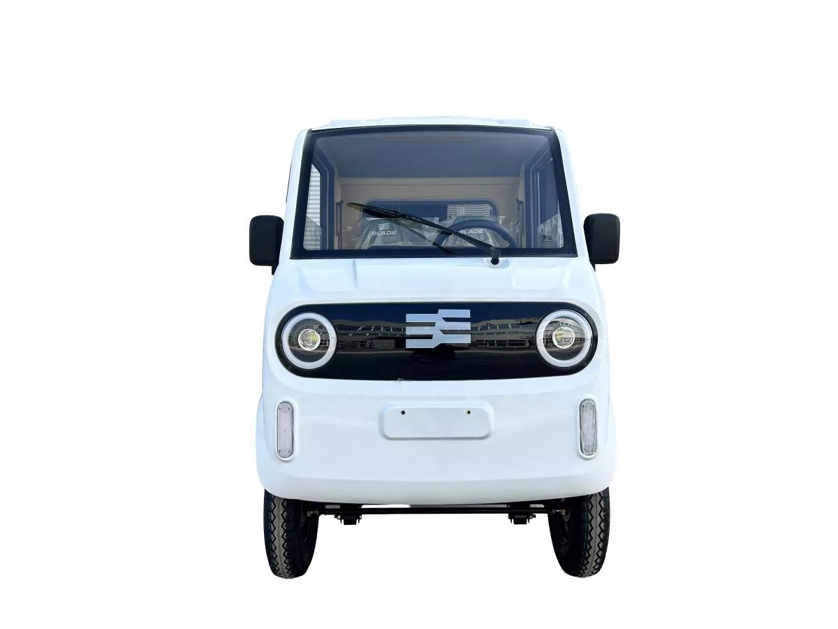 MASINA ELECTRICA/TRICICLU/CAVDRICLU PICKUP CARGO 3000, putere maxima 4900W - CARGO PRO 12 [1]