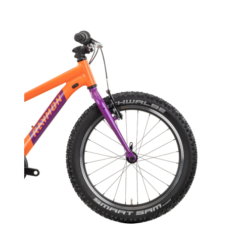 Bicicleta Copii Raymon Yanga 20 2025 - 20 Inch, Portocaliu - TY200 [4]