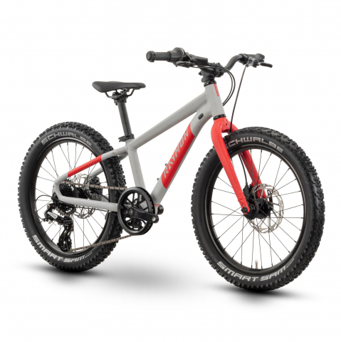 Bicicleta Copii Raymon Yanga 20 Pro 2025 - 20 Inch, Gri - Altus [1]