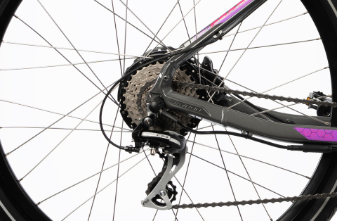 Bicicleta Electrica Afisport C17 - 28 Inch, M-L, Gri-Mov [4]