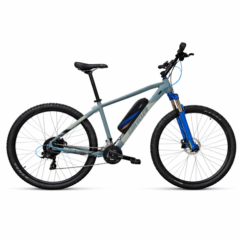 Biciclete electrice - Bicicleta electrica Mtb Graveler 53116 - 29 inch, M, Gri