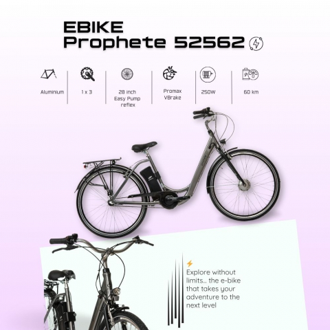 Bicicleta Electrica Prophete 52562 - 28 Inch, M, Gri [3]