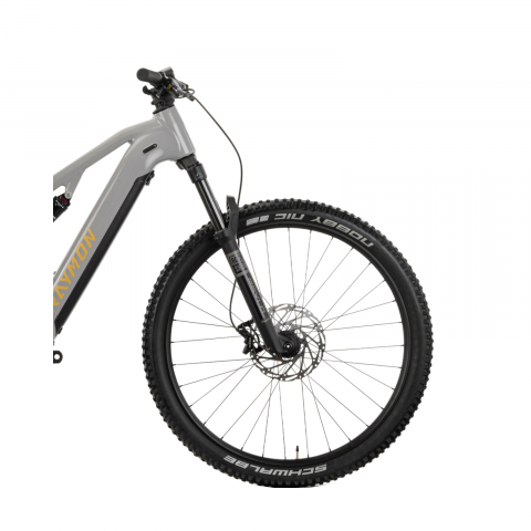 Bicicleta Electrica Raymon Full Suspension Trailray 120 Pro 2025 - 29 Inch, L, Gri - Deore LG [4]
